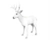 W.Mantel Deer (add on)